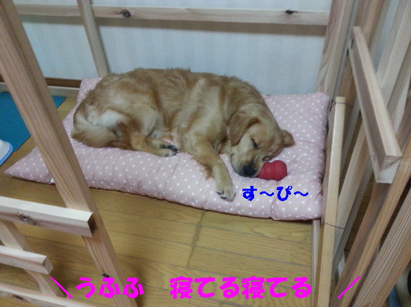 bu-99910001.jpg