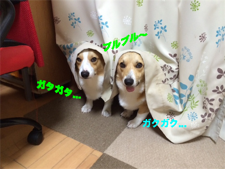 1_201409210902376f3.jpg