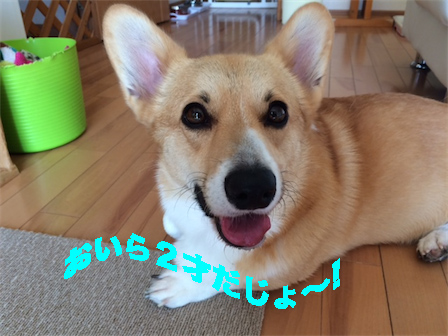 1_20140929095331e39.jpg