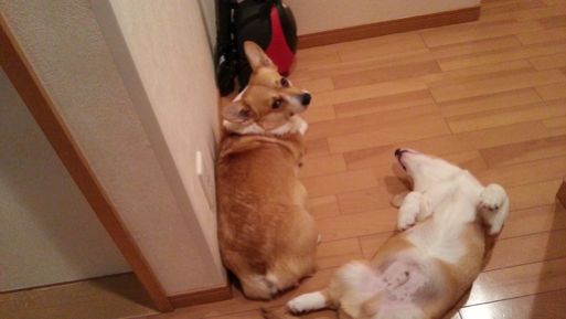 20130123_200424.jpg
