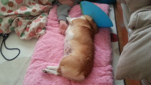 20130130_152620.jpg