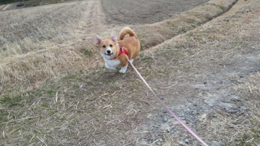 20130131_123925.jpg