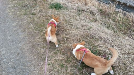 20130201_131332.jpg