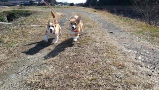 20130203_124929.jpg