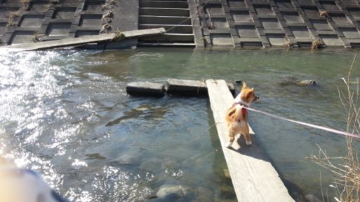 20130203_125856.jpg
