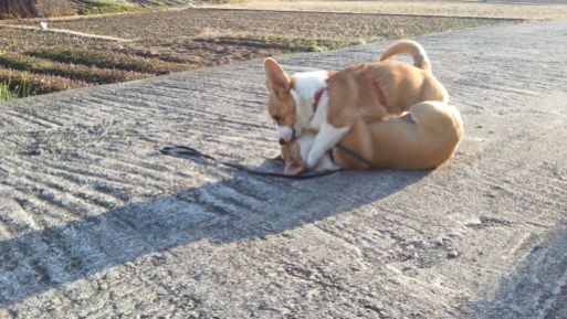 20130203_160416.jpg