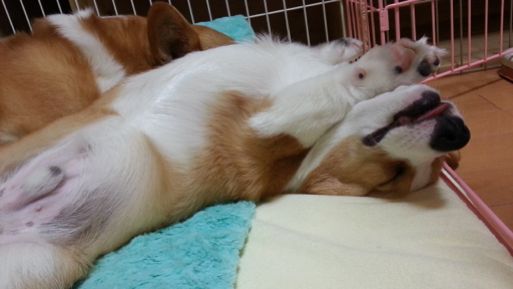 20130205_220146.jpg