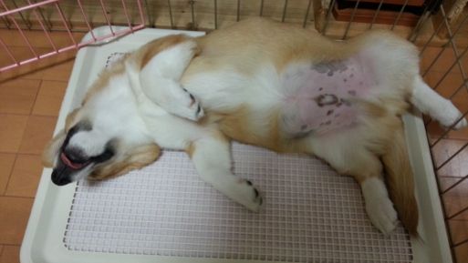 20130205_225321.jpg