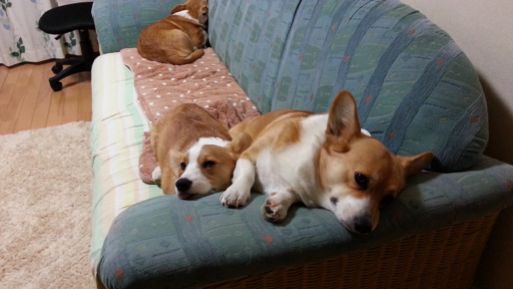 20130210_182822.jpg