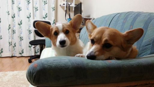 20130210_182838.jpg