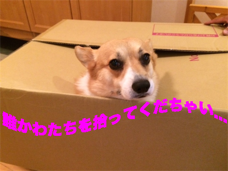 2_20140927130417aae.jpg