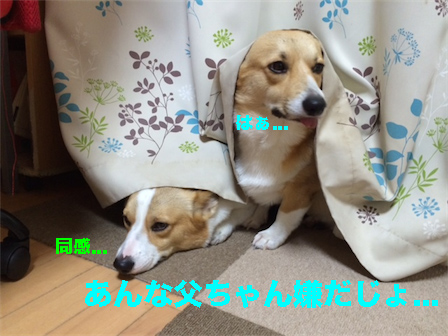3_2014092109023943a.jpg