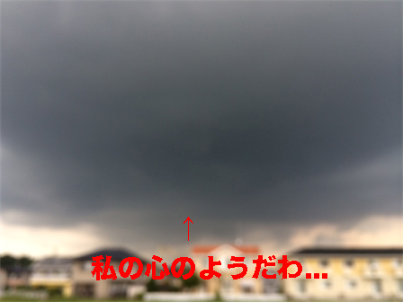 3_201409261035352c4.jpg