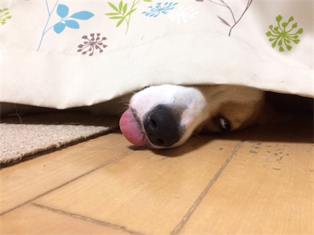 3_20140928093705181.jpg