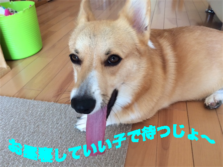 3_201409290953342c5.jpg