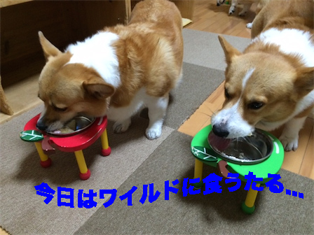 4_201409300935338a2.jpg