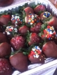 Picture 004