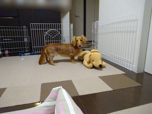 014_20140919210310cf1.jpg