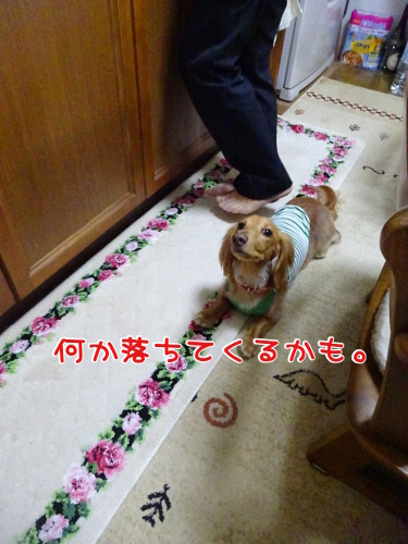 093_2014093020394521b.jpg