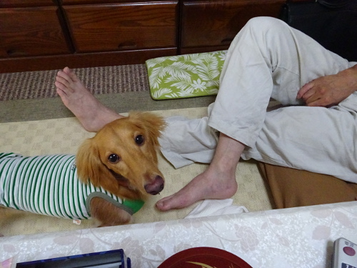 096_20140930203946f3a.jpg