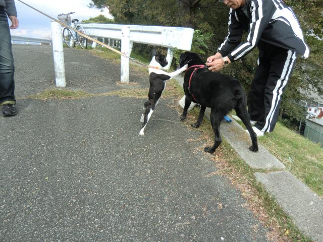 CIMG2361_convert_20111120131515.jpg