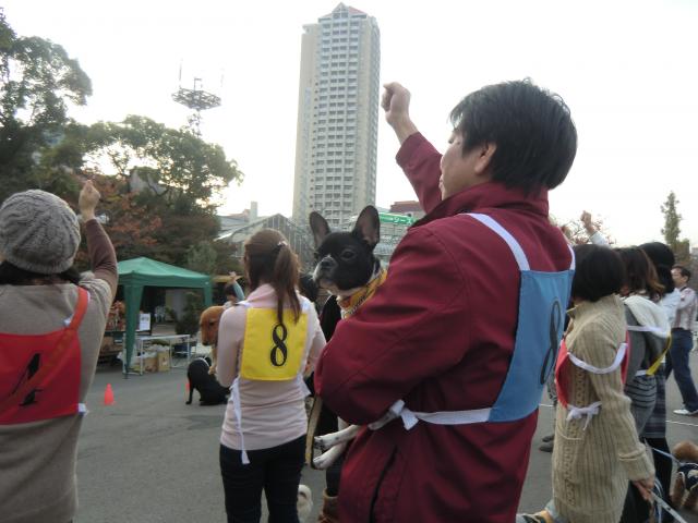 CIMG2564_convert_20111128191710.jpg