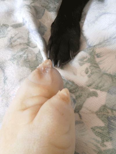2041_20130518194253.gif