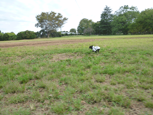 986_20110925195625.gif