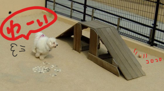わーい