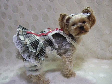 buro5_2013121114334057b.jpg
