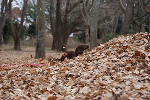 20131223-4
