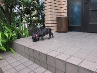 IMG_0742_convert_20111015054429.jpg