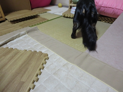 IMG_0919_3.jpg