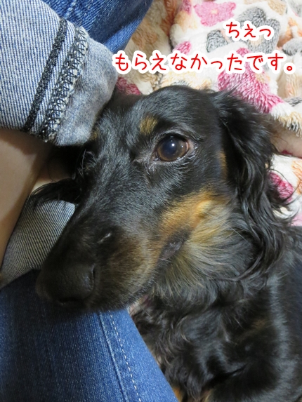 IMG_0920_4.jpg