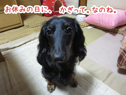 IMG_0923_4.jpg
