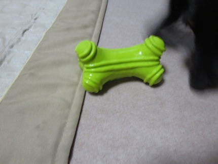 IMG_0927_2.jpg