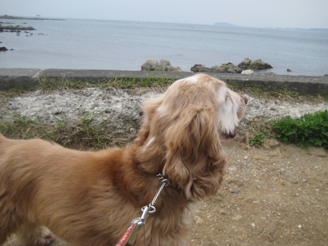 海の香り?