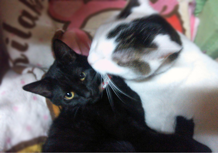 クーロロ2013.2.6②