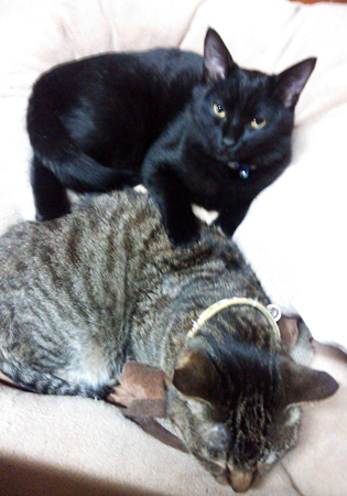 クーロロ2013.2.6③