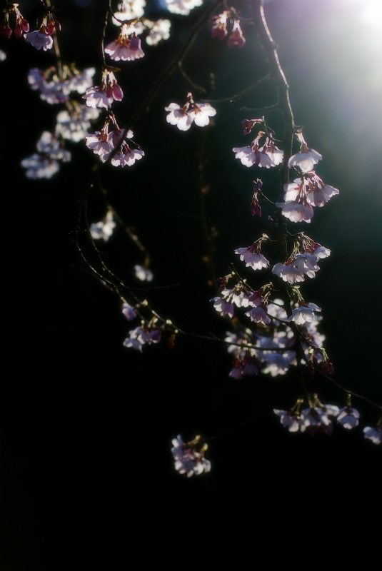 s_IGP0638.jpg