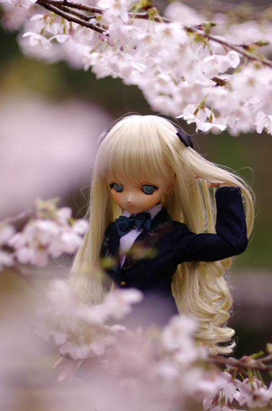 s_IGP0899.jpg