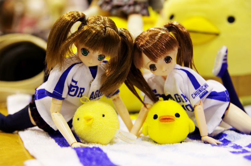 s_IGP2976.jpg