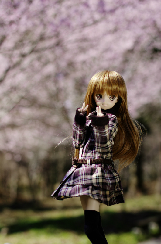 ss_IGP0516.jpg