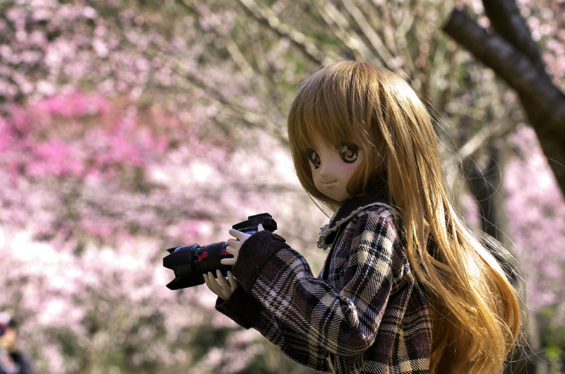 ss_IGP0544.jpg