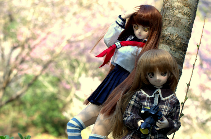 ss_IGP0610.jpg