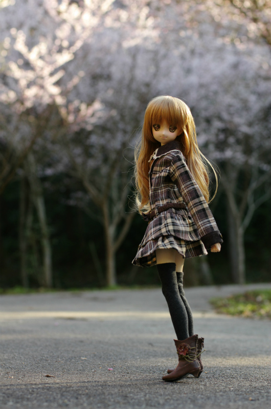 ss_IGP0622.jpg