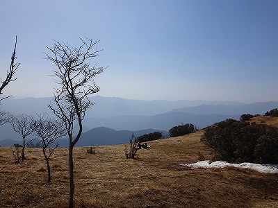 DSC1330905543.jpg