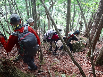 DSC1361507628.jpg