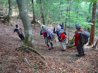 DSC1361507630.jpg