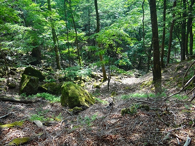 DSC1361507639.jpg